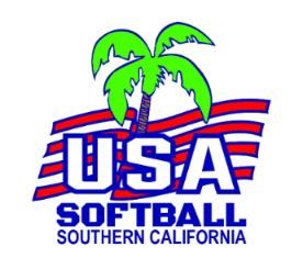 Image result for usa  girls softball  logo with ball and palm tree in the background